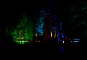 09-10-12 Enchanted forest